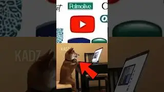 YouTube tests its products on animals?!