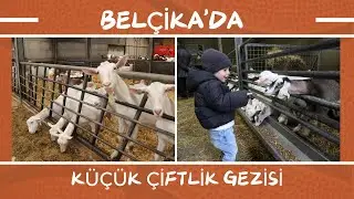 Belçika'da küçük çiftlik gezisi | Gezilecek yerler #belçika #vlog