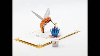 3D pop up cards featuring hummingbirds | Cut Pop Up