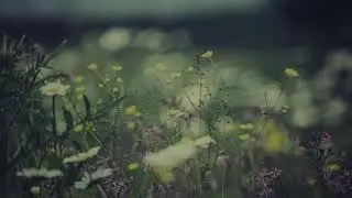 Grouper  - Ode To The Blue Subtitulado al Español