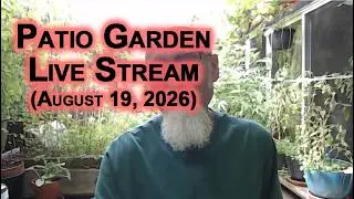 Patio Garden Open Discussion -- Wednesday, August 19, 2026 [ASMR]