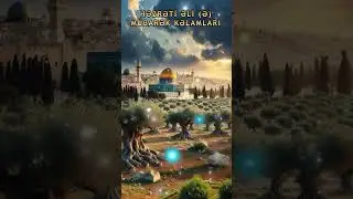 Hz Əli Mübarək İbrətamiz Kəlamları 356 #shorts #HzAli #Nehculbelaga #kelam #ibretamiz #Dua