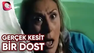 GERÇEK KESİT - BİR DOST