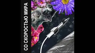 Со скоростью мира (Гражданская оборона: кавер)
