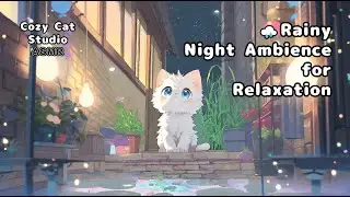 🌧 Rain Ambience & Chill Piano for Deep Sleep 🎹