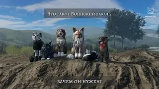 "Что такое Воинский закон? Зачем он нужен в котах воителях? -Warrior Cats:Ultimate Edition"