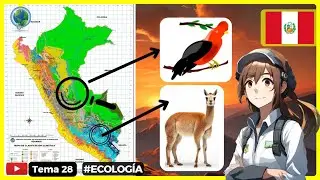 ✅ Los 5 animales endémicos del Perú  ✨🍃