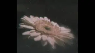 Ꭺ Ᏼ Ꮎ Ꮜ Ꭲ   Y Ꮎ Ꮜ