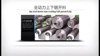 Multi-rip saw Machine