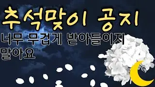 추석맞이 공지