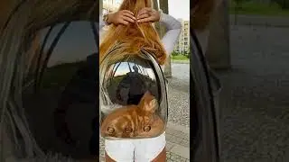 Little Tiger in a Bag