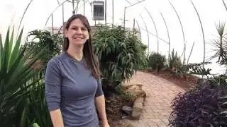 Houseplant Tour 2020 - Tri-C Greenhouse