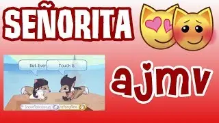 Señorita | AJMV by Shawn Mendes & Camila Cabello