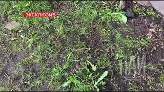 Девушка выпала из окна многоэтажки в Пскове