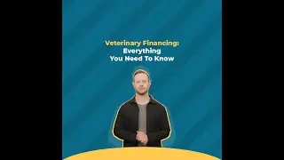 Veterinary Financing: Everything You Need To Know