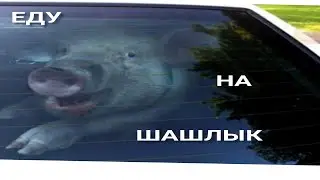 ШАШЛЫК НА ДАЧЕ 