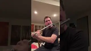 MARIO BROS - Flute + Beatbox