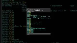 #shorts  IP Statica de pool  DHCP Router Cisco