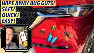 Clean Dead Bug Guts off Car Paint in MINUTES! Easy & Safe