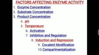 Factors affecting enzyme activity Part 1