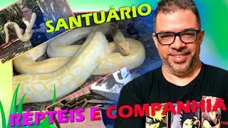 VISITEI UM SANTUÁRIO DE RÉPTEIS E FOI MUITO DIVERTIDO