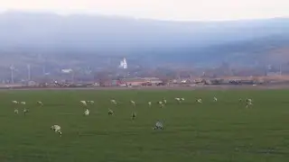 из Сибири на Юг/ в гостях у 