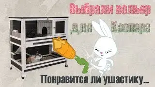 ВОЛЬЕР для КРОЛИКА. Обустраиваем и ЗАСЕЛЯЕМ Каспера