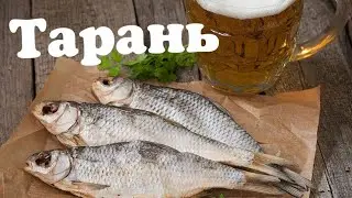 Dried roach or white bream - recipe for making at home.