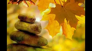Meditation Music for Calming Your Mind and Body