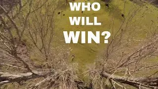 Me vs Scraggle - FPV Freestyle