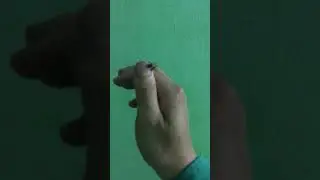 Bạn Ong đến thăm ngày 03/04/2019