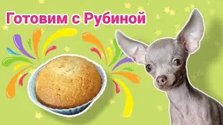 Cooking with Rubina/The most DELICIOUS cupcakes in the world