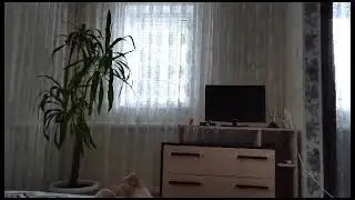 1 сентября 2023 г.