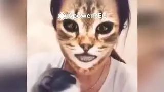 Приколы с котиками №6. Cat Music