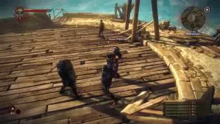 Ариан ла Валетт (The Witcher 2  Assassins of Kings )Вариант№2