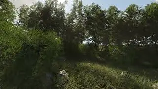 Daytime - CRYENGINE