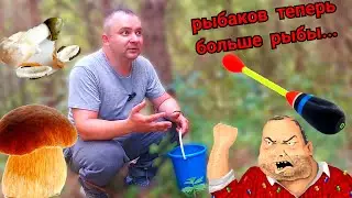 Мужик занял моё секретное место на реке. Пришлось идти за грибами. Грибы вместо донки на судака