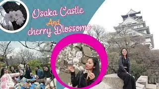 Osaka Castle | Picnic under Cherry Blossom Trees in Osaka Castle Japan|Gets Hobbies