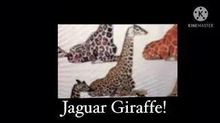 Jaguar Giraffe! Jaguar Giraffe!
