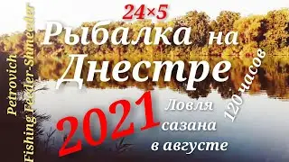 РЫБАЛКА НА ДНЕСТРЕ 2021  ЛОВЛЯ САЗАНА