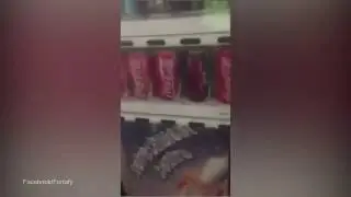 (LIFE HACK)THIS IS HOW TO GET FREE DRINKS FROM VENDING MACHINES