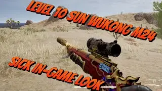 LEVEL 10 PROGRESSIVE M24 SUN WUKONG - IN-GAME LOOK AND KILL EFFECT