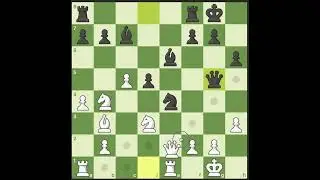 Blunders after blunders and finally a checkmate