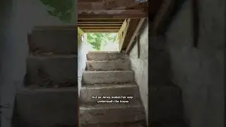 Someone Was Watching Them Sleep.. 