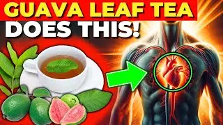 11 Reasons to Drink Guava Leaf Tea Daily (Guava Leaf Tea Benefits)