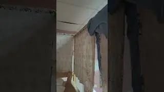 я из такой семьи. из богатой. хостел москва