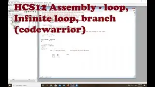 HCS12 Assembly - loop, Infinite loop, branch (codewarrior)