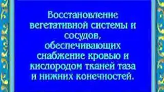 Орис Восстановление вегетативной системы и сосудов