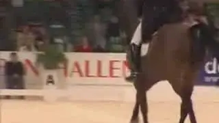 horses - excuse me mama - dressage