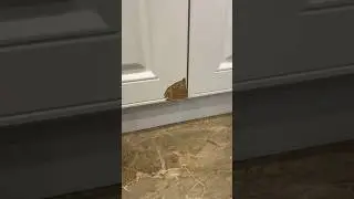 Новая работа 😎